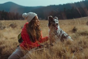 Traveling with Pets