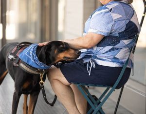 Lady sitting in a chair with her emotional support dog